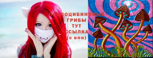 гидропоника Алексин